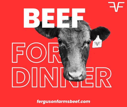 How Much Beef for Your Family for a Year?