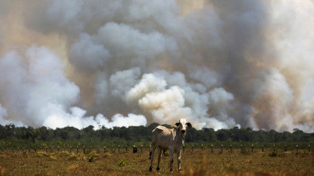 Red Meat Intake Too High --- Says Who?