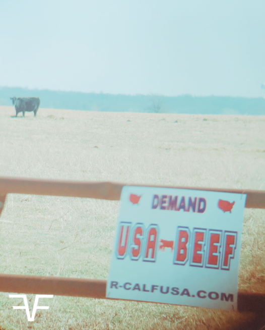 Demand USA Beef