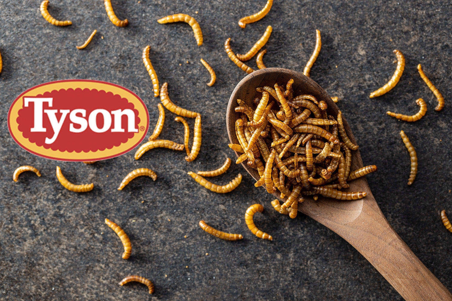 Tyson foods bugs